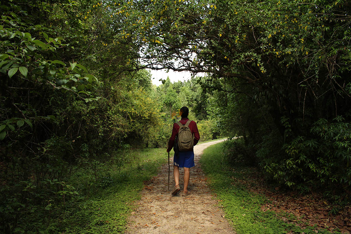 A hiker walks inside Shivapuri National Park 